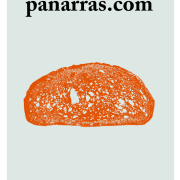 Portada del libro panarras.com de Iñaki Echegoyen
