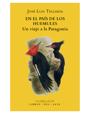 Portada del libro En el pais de los huemules de fondo amarillo con dos pájaros